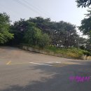 용월리지석묘군 이미지