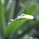 중앙부동산 이미지