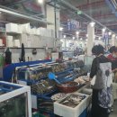 보성회센터 이미지