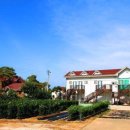 오투오션2 이미지