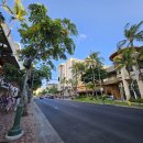 아이스마켓 이미지