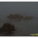 꽃바위 이미지