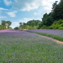 병방산군립공원 이미지