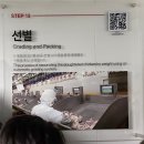 (주)슈퍼캣 | 하림키친로드 하림치킨로드 라면공장 하림푸드투어 무료 견학 후기