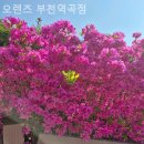 오렌즈부천역곡점 이미지