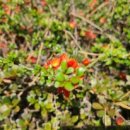 해찬솔농장 이미지