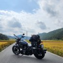 (유)남양건설