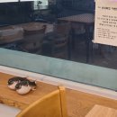 송내복집 이미지