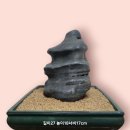 우물과 숯불/ 산수경석, 무령석 이미지