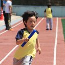 봉평초등학교 이미지