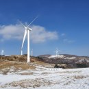 선 목장 이미지