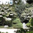 생명의 그물 2 이미지