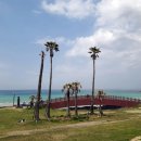 오드리하우스 이미지