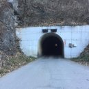 예미초 고성분교장 이미지