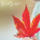 아로마교육원