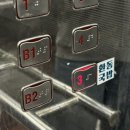 블랑드미 | 우산동 네일샵 여름필수 페디 디자인 다양한 블랑드미