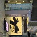 제일삼성국제 | 삼성 코엑스 드디어!드디어!! 다녀온 서울국제도서전 2026 후기