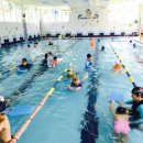 키튼드림센터수영장 이미지