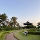 삼호 태양광발전소 이미지