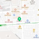 츄츄독 푸들이야기 부산 강아지분양 네이버블로그