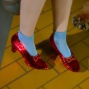 팬도로시 이미지