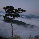 「옥천 어깨산」,「둔주봉」, 一得一失의 하루 이미지