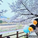 회룡장터