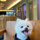 사료할인매장 이미지