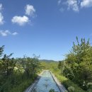 에덴선물나라 | 이천 에덴파라다이스호텔 패밀리스위트 가든 정원이 예쁜 힐링숙소