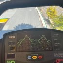 명랑핫도그일광 | 살찌는 계절 가을 먹고 논 일상 이야기 | 데이트 서울 근교 드라이브