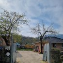 별 한말 이미지