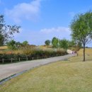 그림자의 그림자(홀 이미지