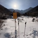 한라산게스트하우스 | 여자 혼자 한라산 등반 후기, 한라산 전용 게스트하우스