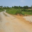 부인농원 이미지