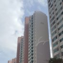 연제구-109 네이버블로그