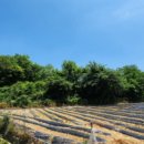 송곡리경로당 이미지