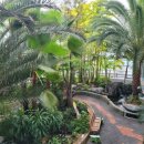 원두천 1 이미지