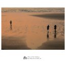 태안바다 이미지