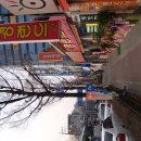 안경랜드21 이미지