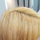 쥬니주