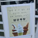 범산목장프리미엄카페 | 왕산해수욕장 범산목장 후기, 바다 앞에서 아이스크림과 커피 즐기기 좋은 곳