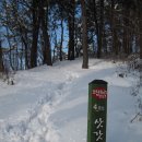 오랍드리 이미지