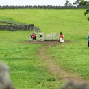 (주)파란제주 이미지