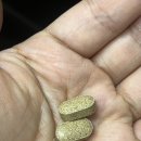 웰빙축산 | GC녹십자웰빙 덴티스텐 후기｜티즈텐으로 챙기는 잇몸 건강 관리