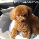 다민동물병원 이미지