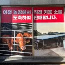 금포농장 이미지