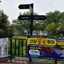 자산공원 입구(구름다리) 티스토리