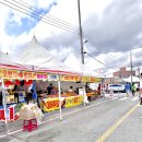 남당항 | 10월 홍성 남당항 새우축제 후기