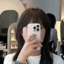 시연헤어 - 마포구 | 목동 레이어드컷 추천, 시연헤어 오목교점 로사디자이너 허쉬컷 후기