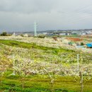 왕지2길 이미지